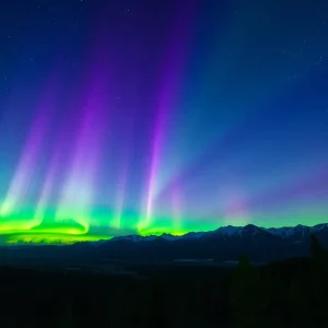 A stunning display of the northern lights over a dark landscape with silhouettes of trees.