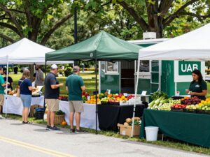 Community members shopping at the UAB Mobile Market in Central Alabama